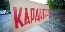 Фото новости: Николаевские поля атакуют американские белые бабочки: введён карантин Свежие новости: Николаевские поля атакуют американские белые бабочки: введён карантин