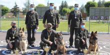 Свежие новости: На Николаевщине прошли соревнования кинологов на первенство Южного оперативно-территориального объединения