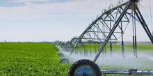 Свежие новости: На Николаевщине увеличат площади под орошением в 6 раз
