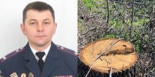 Фото новости: В Вознесенском районе продолжается незаконная вырубка деревьев Свежие новости: В Вознесенском районе продолжается незаконная вырубка деревьев