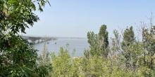 Свежие новости: У Миколаїв з Азії принесло імлу: рятувальники рекомендують закрити вікна та пояснили причини явища