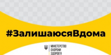Свежие новости: Сидя дома, вы часто спасаете не себя, а более уязвимых других – доклад на саммите по коронавирусу
