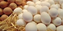 Свежие новости: В Первомайске чиновники закупили яйца по завышенной цене