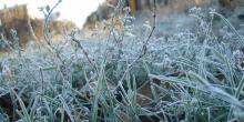 Свежие новости: Синоптики предупредили о заморозках и порывах ветра