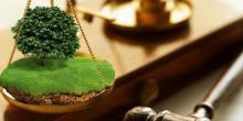 Свежие новости: Впервые в Украине продажа прав аренды земли состоялся через электронный аукцион