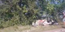Свежие новости: Водій, який загинув у ДТП під Миколаєвом, перевозив велику суму: після аварії гроші зникли
