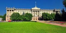 Фото новости: Ялинки біля Миколаївської міськради були в хорошому стані і не підлягали вирубці, — Держекоінспекція Свежие новости: Ялинки біля Миколаївської міськради були в хорошому стані і не підлягали вирубці, — Держекоінспекція