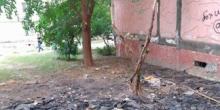 Свежие новости: В Николаеве рабочие при ремонте крыши уничтожили сквер, посаженный пенсионеркой, сбрасывая на него старый рубероид