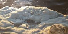 Свежие новости: В Николаеве берег на пляже покрылся белой пеной