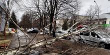 Свежие новости: Негода наробила лиха: рятувальники надають допомогу у розпилюванні та прибиранні повалених дерев