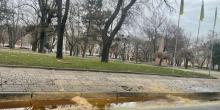 Свежие новости: Розлив олії в центрі Миколаєва