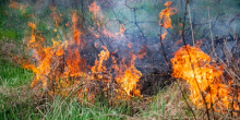 Свежие новости: В Вознесенске произошло возгорание сухой травы