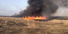 Свежие новости: На Николаевщине за сутки выгорело 7 га