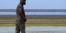 Свежие новости: Украинские пограничники отравились химическими выбросами завода 