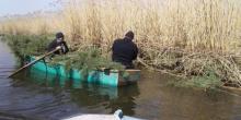 Свежие новости: На Миколаївщині створили понад 700 штучних нерестовищ риби