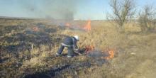 Свежие новости: На Николаевщине опять массово горит камыш