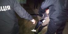 Свежие новости: ФОТО: В Очакове во время ожидания Зеленского журналистка упала в яму и сломала ногу