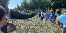 Фото новости: На Миколаївщині волонтери сплели маскувальну сітку вагою 100 кілограмів Свежие новости: На Миколаївщині волонтери сплели маскувальну сітку вагою 100 кілограмів
