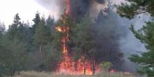 Свежие новости: В Вознесенском районе возник масштабный лесной пожар