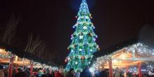 Свежие новости: Главная новогодняя ёлка Николаева зажгла огни