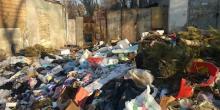 Свежие новости: В Николаеве горожанка пожаловалась на сборище отходов во дворе дома