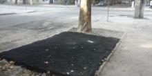 Свежие новости: В Николаеве часть зеленой зоны закатали в асфальт