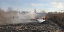 Свежие новости: В Николаевской области дважды ликвидировали пожар камыша
