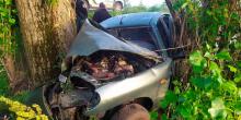 Свежие новости: Полиция разыскивает свидетелей ДТП на трассе в Николаевском районе