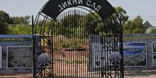 Свежие новости: У Миколаєві в з'явиться новий облаштований простір: «Городище Дикий Сад: погляд крізь тисячоліття»