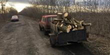 Свежие новости: У Врадіївському районі поліцейські виявили чоловіка, який незаконно перевозив свіжозрубану деревину