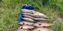 Свежие новости: На Миколаївщині затримали підводних мисливців із 61 кг незаконно добутої риби
