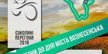 Фото новости: У місті Вознесенську - Соколині перегони - 2018 Свежие новости: У місті Вознесенську - Соколині перегони - 2018