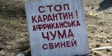 Фото новости: Южноукраинцев просят отказаться от покупок мясных продуктов в местах стихийной торговли из-за африканской чумы свиней Свежие новости: Южноукраинцев просят отказаться от покупок мясных продуктов в местах стихийной торговли из-за африканской чумы свиней