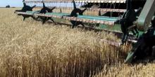Свежие новости: На Николаевщине на 4% уменьшилось количество собранных зерновых культур