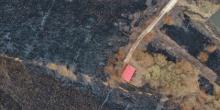 Фото новости: В Одесской области горит лес: задействована авиация Свежие новости: В Одесской области горит лес: задействована авиация