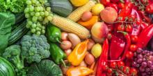 Свежие новости: Миколаївщина у лідерах по збору овочевих культур