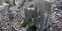 Фото новости: Бельгийский фермер случайно передвинул трактором границу с Францией Свежие новости: Бельгийский фермер случайно передвинул трактором границу с Францией