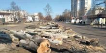Свежие новости: На головному проспекті Миколаєва зрубали тополі, щоб військові не пилили ялинки, - Сенкевич