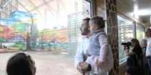 Свежие новости: До Дня міста в Миколаївському зоопарку відкрили новий комплекс «Українське сафарі» та познайомили з граційним красенем Нуру