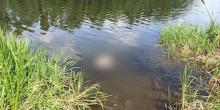 Свежие новости: Из реки Южный Буг извлекли тело утопленника