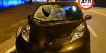Свежие новости: Под Киевом автомобиль на большой скорости сбил насмерть молодого человека