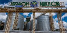 Свежие новости: Депутати міськради Миколаєва звільнили «Нібулон» від ₴18 мільйонів податку на землю до кінця року