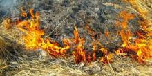 Свежие новости: Сжигать сухую траву, мусор и порубочные остатки рядом с полосой отвода железной дороги запрещено!