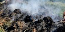 Свежие новости: Миколаївська область: на відкритих територіях ліквідовано 4 пожежі, спричинених необережним поводженням з вогнем