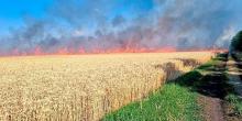 Фото новости: За півроку повномасштабної війни від населення Зеленого Гаю залишилося близько 10%, — місцеві фермери Свежие новости: За півроку повномасштабної війни від населення Зеленого Гаю залишилося близько 10%, — місцеві фермери