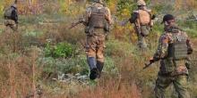 Фото новости: Найманці  Свежие новости: Найманці