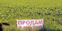 Фото новости: Плати 1500 с гектара или продавай дешево. Зачем Рада хочет ввести новый налог Свежие новости: Плати 1500 с гектара или продавай дешево. Зачем Рада хочет ввести новый налог
