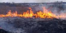 Свежие новости: По всей территории Украины объявлен максимальный уровень пожароопасности