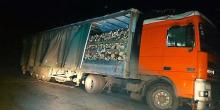 Свежие новости: В Вознесенском районе задержали фуру с незаконно вырубленными деревьями