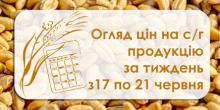 Свежие новости: Як змінилися ціни на зернові та олійні у Миколаївській області — огляд цін з 17 по 21 червня